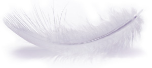 Kontakt Anette Buch vedr. Healing - Clairvoyance m.m. Kontakt Anette Buch vedr. Healing - Clairvoyance m.m.